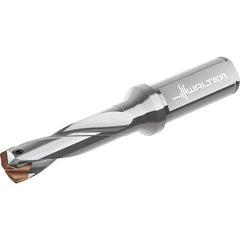 Walter - 20 to 20.99mm Diam, 3xD, 96mm Max Depth, 20mm Shank Diam, 150mm OAL, Replaceable Tip Drill - P6001-D20..R, P6003-D20..R, P6004-D20..R, P6005-D20..R Insert, D4140 Toolholder, Series D4140 - USA Tool & Supply
