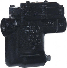 Hoffman Speciality - 2 Port, 3/4" Pipe, Stainless Steel Inverted Bucket Steam Trap - 80 Max psi - USA Tool & Supply