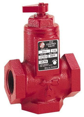 Bell & Gossett - 2" Pipe, Cast Iron Manually Operated Plumbing Valve - Buna Seal, FNPT - USA Tool & Supply