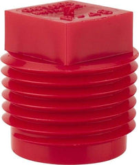 Caplugs - Square Head Plug - 1/2" OD, Polyethylene, Red - USA Tool & Supply