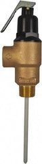 CASH ACME - 3/4" Inlet, 3/4" Outlet, MNPT x MNPT, ASME Safety Relief Valve - 150 Max psi, Bronze, 500000 BTUs - USA Tool & Supply