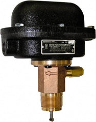 McDonnell & Miller - 300 psi, Brass Housing, Adjustable Paddle Flow Switch - 7.7 Flow Set Point, 35,004 Flow Point cc/min, 4.8 to 998 GPM, 120/240 Voltage, 1-1/4 Inch Thread Size - USA Tool & Supply