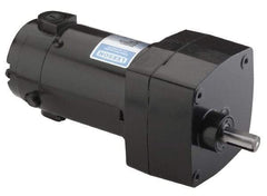 Leeson - 1/150 Max hp, 1.9 Max RPM, Electric AC DC Motor - 115 V Input, Single Phase, 31 Frame - USA Tool & Supply