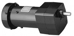 Leeson - 1/15 Max hp, 57 Max RPM, Electric AC DC Motor - 115 V Input, Single Phase, 31 Frame - USA Tool & Supply