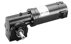 Leeson - 1/15 Max hp, 43 Max RPM, Electric AC DC Motor - 115 V Input, 31C Frame - USA Tool & Supply