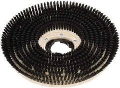 Clarke - 20" Diam Scrubbing Brush - 20" Machine, Black Pad, Polypropylene - USA Tool & Supply