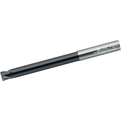 Walter-Prototyp - 6mm, 4 Flute, Single End, Solid Carbide, 0.5mm Corner Radius End Mill - 100mm OAL, 30° Helix, Right Hand Flute, 6mm LOC, Right Hand Cut, 60mm Extended Reach - USA Tool & Supply