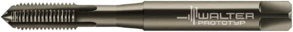Walter-Prototyp - 1/4-20 UNC 2B 4 Flute Nitride/Oxide Finish Powdered Metal Straight Flute Machine Tap - Modified Bottoming, Right Hand Thread, 80mm OAL, 15mm Thread Length, Oversize - Exact Industrial Supply