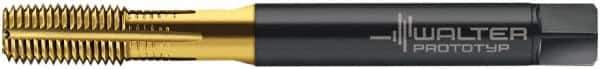 Walter-Prototyp - 3/8-24 UNF 2B Modified Bottoming Thread Forming Tap - Cobalt, TiN Finish, 100mm OAL, 19.99mm Thread Length, Right Hand Thread, Series ACP2361745 - USA Tool & Supply
