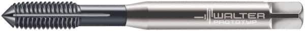 Walter-Prototyp - M3x0.50 Metric 6HX Modified Bottoming Thread Forming Tap - Cobalt, TiCN Finish, 56mm OAL, 9mm Thread Length, Right Hand Thread, Series D7061706 - USA Tool & Supply