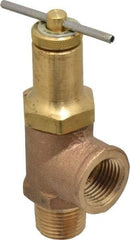 Conbraco - Bypass Relief Valve - 250 Max psi, Bronze - USA Tool & Supply