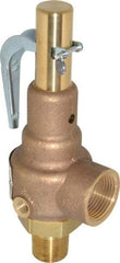 Conbraco - 3/4" Inlet, 1" Outlet, High Pressure Safety Relief Valve - 75 Max psi, Bronze, 898 Lb per Hour - USA Tool & Supply