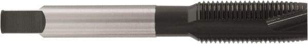Accupro - 1/4-28, 3 Flute, Oxide Finish, Vanadium High Speed Steel Spiral Point Tap - Plug Chamfer, Right Hand Thread, 2-1/2" OAL, 3/4" Thread Length, 0.255" Shank Diam - Exact Industrial Supply