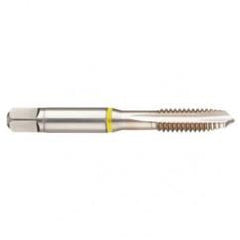 42377 2B 4-Flute Cobalt Yellow Ring Spiral Point Plug Tap-Bright - USA Tool & Supply