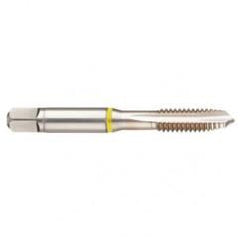 40002 2B 4-Flute Cobalt Yellow Ring Spiral Point Plug Tap-Bright - USA Tool & Supply