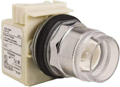 Schneider Electric - 30mm Mount Hole, Extended Straight, Pushbutton Switch Only - Round, Momentary (MO), Weatherproof, Dust and Oil Resistant - USA Tool & Supply