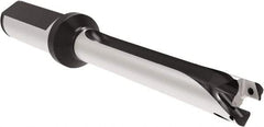 Allied Machine and Engineering - Series 14, 14 to 14.99mm Diam, 20mm Diam Straight Shank with Flange, Straight Flute Spade Drill - 149.9mm Max Depth, 229.8mm OAL, Long Length, Through Coolant - USA Tool & Supply