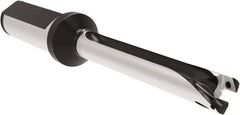 Allied Machine and Engineering - Series 12, 12 to 12.99mm Diam, 20mm Diam Straight Shank with Flange, Straight Flute Spade Drill - 129.9mm Max Depth, 209.7mm OAL, Long Length, Through Coolant - USA Tool & Supply