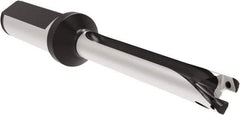Allied Machine and Engineering - Series 12, 12 to 12.99mm Diam, 3/4" Diam Straight Shank with Flange, Straight Flute Spade Drill - 5.1142" Max Depth, 6.199" Body Length, 8-5/16" OAL, Long Length, Through Coolant - USA Tool & Supply