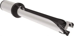 Allied Machine and Engineering - Series 20, 20 to 21.99mm Diam, 1" Diam Straight Shank with Flange, Straight Flute Spade Drill - 8-21/32" Max Depth, 12.4" OAL, Long Length, Through Coolant - USA Tool & Supply