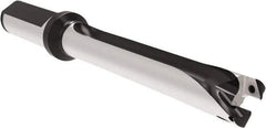 Allied Machine and Engineering - Series 17, 17 to 17.99mm Diam, 20mm Diam Straight Shank with Flange, Straight Flute Spade Drill - 179.9mm Max Depth, 262.8mm OAL, Long Length, Through Coolant - USA Tool & Supply