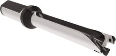 Allied Machine and Engineering - Series 15, 15 to 15.99mm Diam, 20mm Diam Straight Shank with Flange, Straight Flute Spade Drill - 111.9mm Max Depth, 191.5mm OAL, Standard Length, Through Coolant - USA Tool & Supply