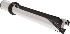 Allied Machine and Engineering - Series 29, 29 to 31.99mm Diam, 32mm Diam Straight Shank with Flange, Straight Flute Spade Drill - 223.9mm Max Depth, 327.6mm OAL, Standard Length, Through Coolant - USA Tool & Supply