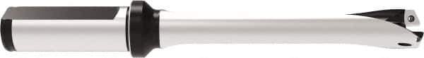 Allied Machine and Engineering - Series 17, 17 to 17.99mm Diam, 20mm Diam Straight Shank with Flange, Straight Flute Spade Drill - 89.9mm Max Depth, 172.9mm OAL, Standard Length, Through Coolant - USA Tool & Supply
