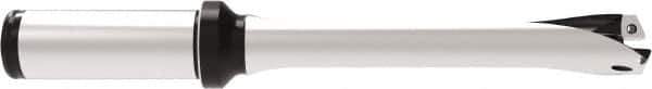 Allied Machine and Engineering - Series 17, 17 to 17.99mm Diam, 20mm Diam Straight Shank with Flange, Straight Flute Spade Drill - 54mm Max Depth, 136.9mm OAL, Standard Length, Through Coolant - USA Tool & Supply