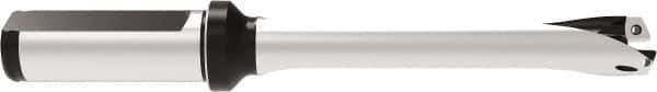 Allied Machine and Engineering - Series 16, 16 to 16.99mm Diam, 20mm Diam Straight Shank with Flange, Straight Flute Spade Drill - 84.9mm Max Depth, 168.2mm OAL, Standard Length, Through Coolant - USA Tool & Supply
