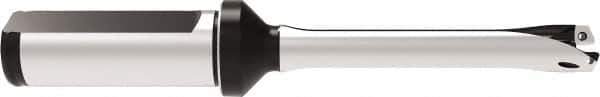 Allied Machine and Engineering - Series 12, 12 to 12.99mm Diam, 20mm Diam Straight Shank with Flange, Straight Flute Spade Drill - 64.9mm Max Depth, 144.7mm OAL, Standard Length, Through Coolant - USA Tool & Supply