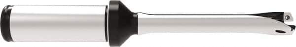 Allied Machine and Engineering - Series 12, 12 to 12.99mm Diam, 20mm Diam Straight Shank with Flange, Straight Flute Spade Drill - 64.9mm Max Depth, 144.7mm OAL, Standard Length, Through Coolant - USA Tool & Supply