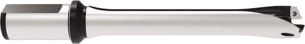 Allied Machine and Engineering - Series 29, 29 to 31.99mm Diam, 32mm Diam Straight Shank with Flange, Straight Flute Spade Drill - 159.9mm Max Depth, 263.7mm OAL, Standard Length, Through Coolant - USA Tool & Supply