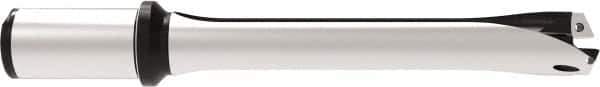 Allied Machine and Engineering - Series 29, 29 to 31.99mm Diam, 32mm Diam Straight Shank with Flange, Straight Flute Spade Drill - 96mm Max Depth, 199.7mm OAL, Standard Length, Through Coolant - USA Tool & Supply