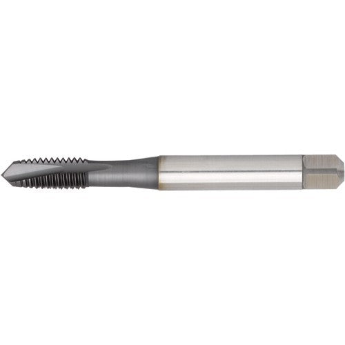 ‎VTSPO9009 1/4-20 2B 3F PLUG - USA Tool & Supply