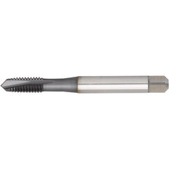 ‎VTSPO9009 1/4-20 2B 3F PLUG - USA Tool & Supply