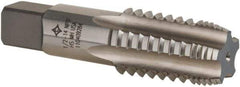 Cleveland - 1/2-14 NPTF, 4 Flutes, Bright Finish, High Speed Steel, Interrupted Thread Pipe Tap - 3-1/8 Inch Overall Length, 11/16 Inch Shank Diameter, 1-3/8 Inch Thread Length, 0.51 Inch Square Size, Regular Hook, Plug Chamfer - USA Tool & Supply