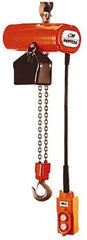 CM - 1/4 Ton Capacity, 12 FPM Lift Speed, Hook Mounted Hoist - 0.167 Output hp, 10' Max Lift, 11-1/16" Min Headroom, 1 Chain - USA Tool & Supply