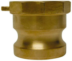 EVER-TITE Coupling Products - 2-1/2" Brass Cam & Groove Suction & Discharge Hose Male Adapter Female NPT Thread - Part A, 2-1/2" Thread, 250 Max psi - USA Tool & Supply