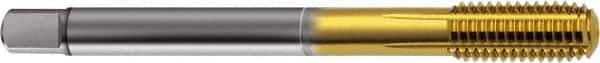 Guhring - M36x4.00 Metric 6HX D17/D18 Thread Limit Semi-Bottoming Thread Forming Tap - Cobalt, TiN Finish, 200mm OAL, Right Hand Thread, Series 923 - USA Tool & Supply