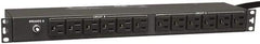 Tripp-Lite - 24 Outlets, 120 VAC30 Amps, 15' Cord, Power Outlet Strip - Rack Mount, 5-15/20R NEMA Configuration, 19" Strip - USA Tool & Supply