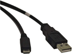 Tripp-Lite - 6' Long, USB A/B Computer Cable - Beige, Male x Male - USA Tool & Supply