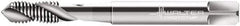 Walter-Prototyp - #2-56 UNC 2 Flute 2B Modified Bottoming Spiral Flute Tap - Cobalt, Bright Finish, 45mm OAL, Right Hand Flute, Right Hand Thread, Series N22516 - Exact Industrial Supply