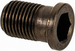 Sandvik Coromant - Torx Plus Cap Screw for Indexables - M2 Thread, Industry Std 5512 090-01, For Use with Assembly Screws - USA Tool & Supply