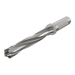 ‎D3N 125-062-16A-5D