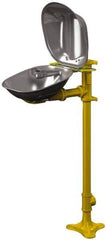 Bradley - Pedestal Mount, Stainless Steel Bowl, Eyewash Station - USA Tool & Supply