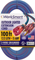 Value Collection - 100', 12/3 Gauge/Conductors, Blue/Red Outdoor Extension Cord - 1 Receptacle, 15 Amps, UL SJTW, NEMA 5-15P - USA Tool & Supply