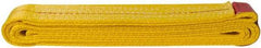 Value Collection - 6' Long x 2" Wide, 6,400 Lb Vertical Capacity, 1 Ply, Polyester Web Sling - 5,000 Lb Choker Capacity, with Endless Sling - USA Tool & Supply