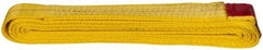 Value Collection - 8' Long x 2" Wide, 6,400 Lb Vertical Capacity, 1 Ply, Polyester Web Sling - 5,000 Lb Choker Capacity, with Endless Sling - USA Tool & Supply