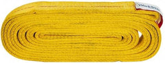 Value Collection - 16' Long x 2" Wide, 12,200 Lb Vertical Capacity, 2 Ply, Polyester Web Sling - 9,800 Lb Choker Capacity, with Endless Sling - USA Tool & Supply